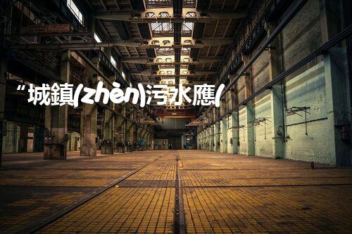 “城鎮(zhèn)污水應(yīng)當(dāng)如何處理——綠色創(chuàng)新，凈享以后”